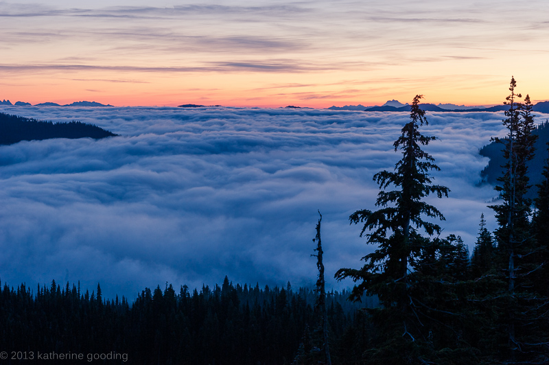 Sunrise at Mt. Rainier National Park
